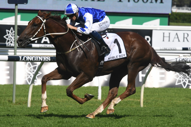 NOBLE BOY winning the Country Championships Final