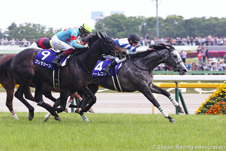 NORMCORE winning the Victoria Mile in Tokyo, Japan.