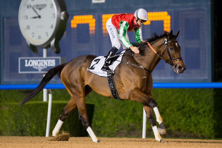 North America winning the Al Maktoum Challenge R1 Sponsored By Mubadala North America winning the Al Maktoum Challenge R1 Sponsored By Mubadala