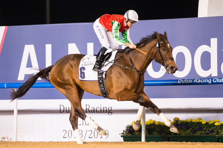 North America winning the Al Maktoum Challenge R2 Sponsored By Al Naboodah Allied Products Division