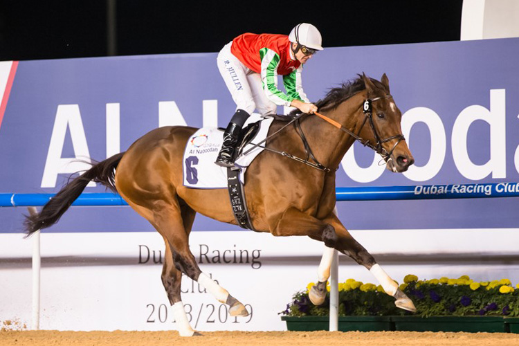 North America winning the Al Maktoum Challenge R2 Sponsored By Al Naboodah Allied Products Division North America winning the Al Maktoum Challenge R2 Sponsored By Al Naboodah Allied Products Division