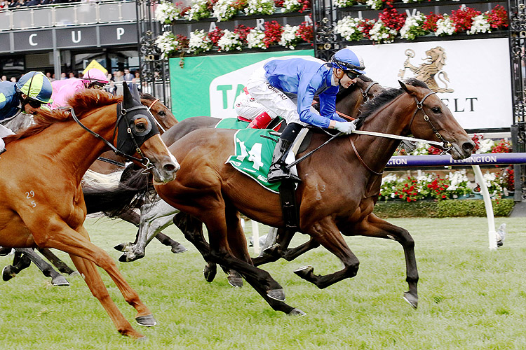 Oceanex winning the Tab Matriarch Stakes
