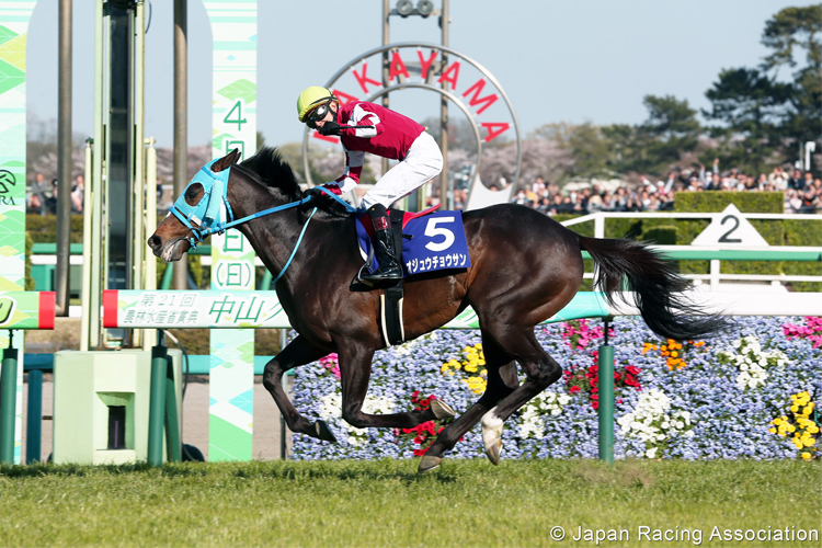 OJU CHOSAN winning the Nakayama Grand Jump in Nakayama, Japan.