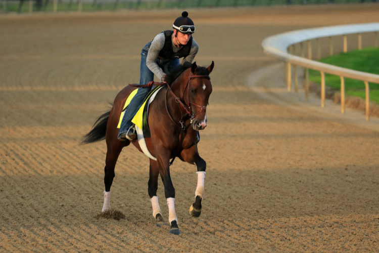 Omaha Beach: the horse who gave Mike Smith his historic 217th Grade 1 victory