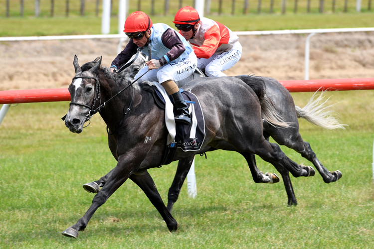 On The Rocks burst clear to win at Tauranga
