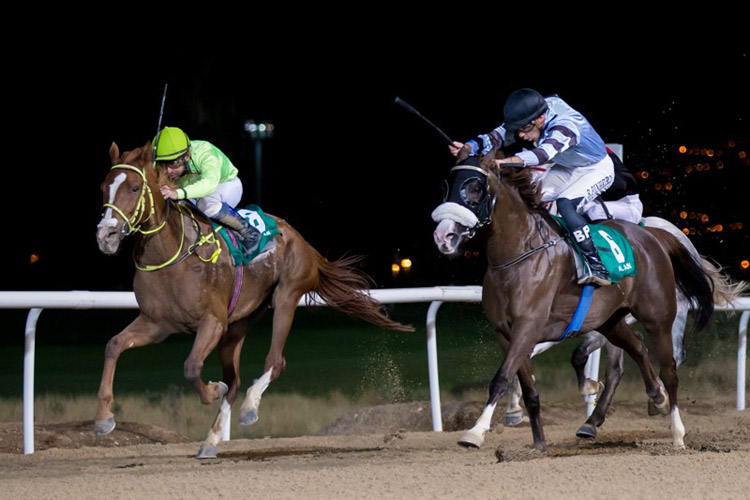 Opera winning the Sieh bin Amaar Opera winning the Sieh bin Amaar