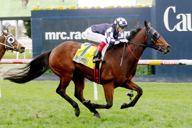 Order Of Command winning the Spicer Thoroughbreds Hcp