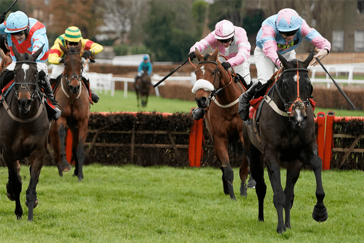 Sandown Park Racecourse.