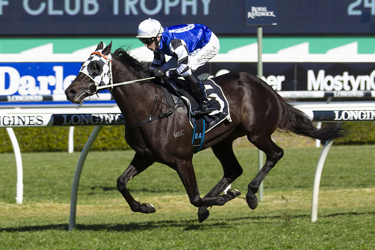 Our Candidate winning the Gold Coast T.C. Trophy (Bm78)