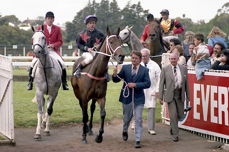 Our Flight after his victory in the 1982 Gr.1 New Zealand Derby (2400m)