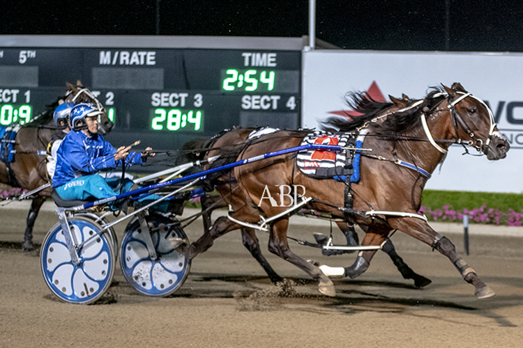 Our Princess Tiffany winning the MOTHER ENERGY NSW OAKS HEAT 3 Our Princess Tiffany winning the MOTHER ENERGY NSW OAKS HEAT 3