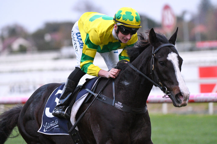 PACODALI winning the Catanachs Jewellers Hcp during Melbourne Racing at Caulfield in Melbourne, Australia.