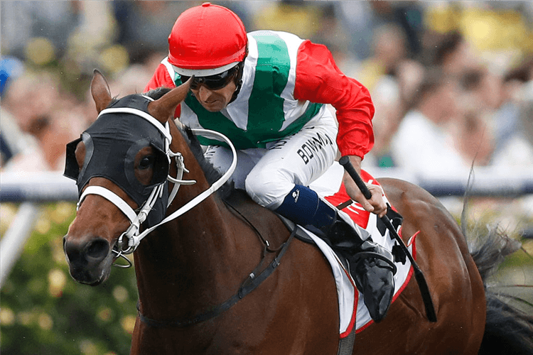 PANCHO winning the TCL TV Stakes during 2019 Oaks Day at Flemington in Melbourne, Australia.