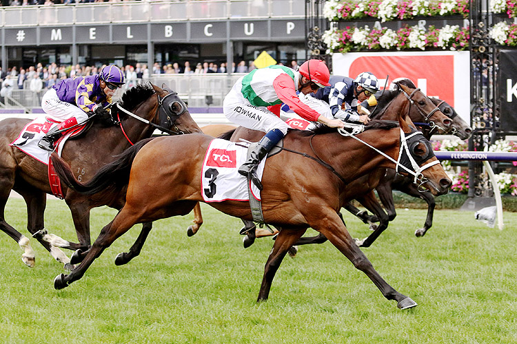 Pancho winning the Tcl Tv Stakes