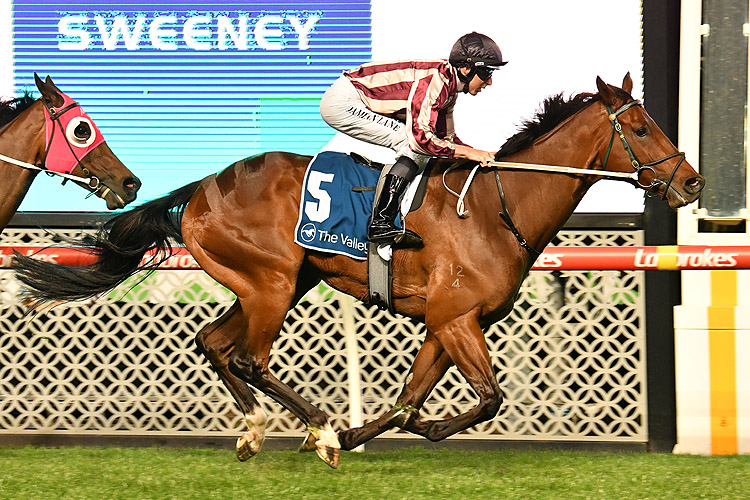 Parsifal winning the Sweeney Estate Agents Hcp