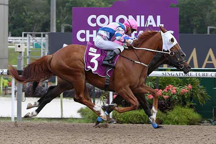Pennywise winning the COLONIAL CHIEF STAKES