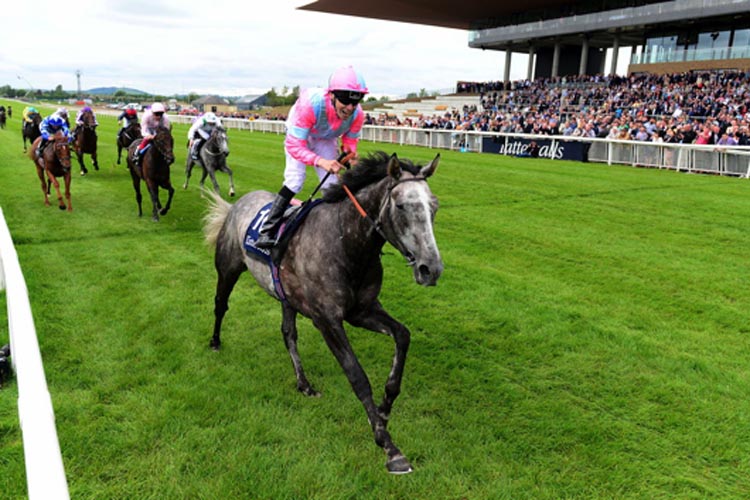 Phoenix Of Spain winning the Tattersalls Irish 2,000 Guineas (Group 1)