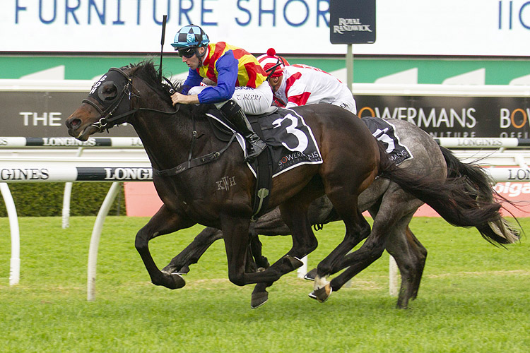 Pierata winning the Bowermans Furniture The Shorts