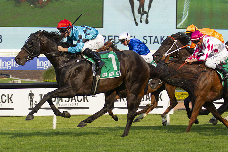 Pierata winning the Redzel Stakes