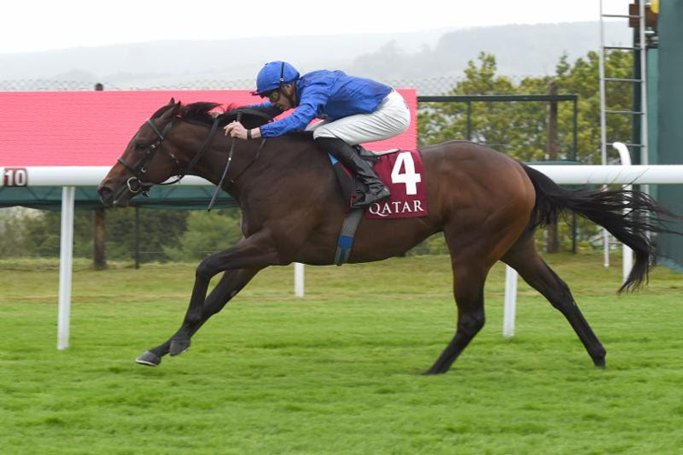 Pinatubo winning the Qatar Vintage Stakes (Group 2)