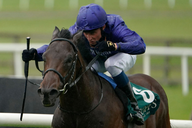 PINATUBO winning the Goffs Vincent O'Brien National Stakes at Curragh in Kildare, Ireland.
