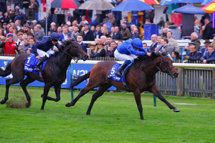 Pinatubo winning the Darley Dewhurst Stakes (Group 1)