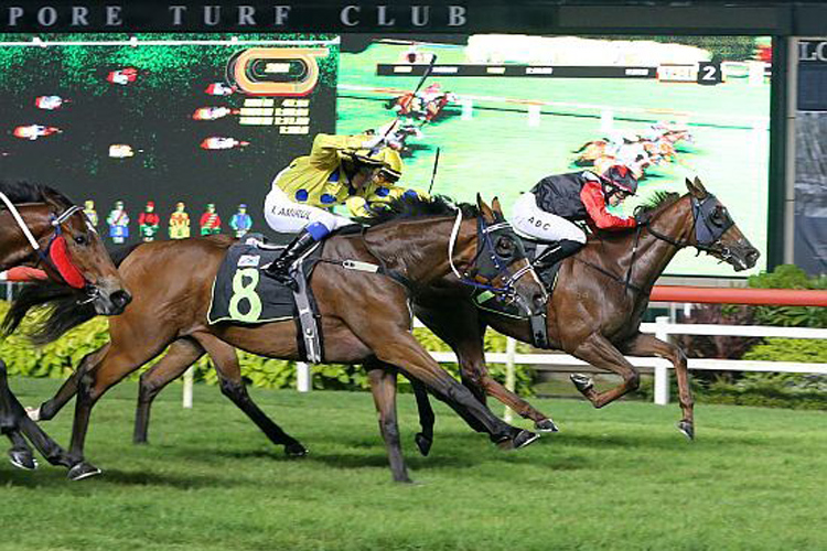 Ping Pong winning the RESTRICTED MAIDEN