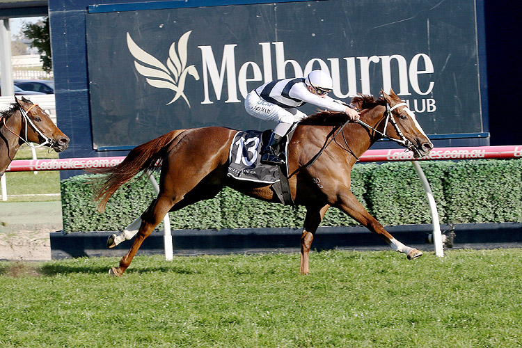 Pippie winning the Moet & Chandon Cockram Stakes