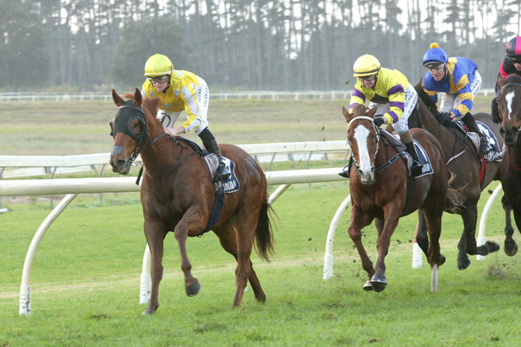 Poker Face winning the Northpine Growing Strong-Bm82