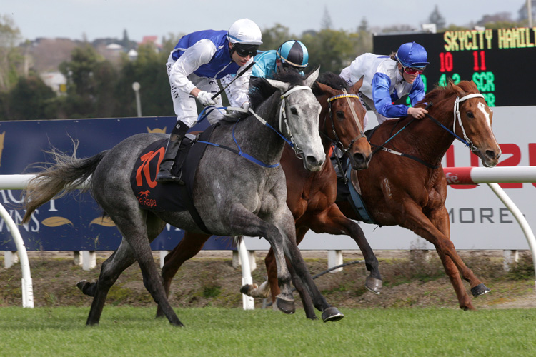 Polly Grey winning the Skycity Hamilton (Bm82)