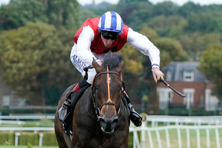 POSITIVE winning the Betway Solario Stakes (Group 3) at Sandown Park in Esher, England.