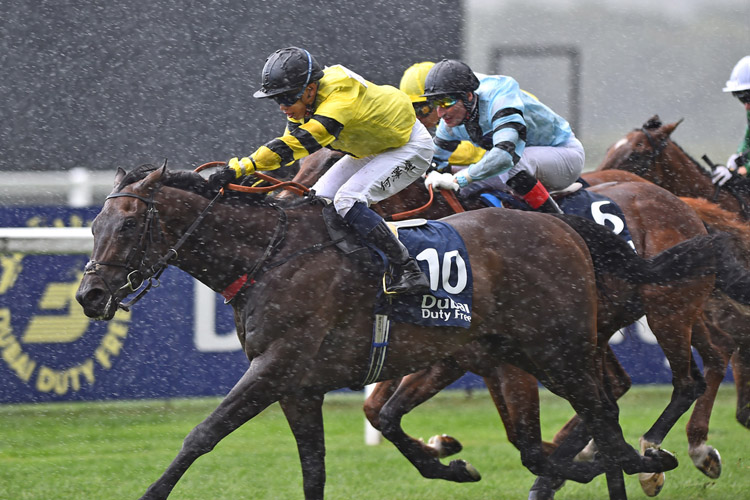 Power Of Darkness winning the Dubai Duty Free Shergar Cup Mile (Handicap)