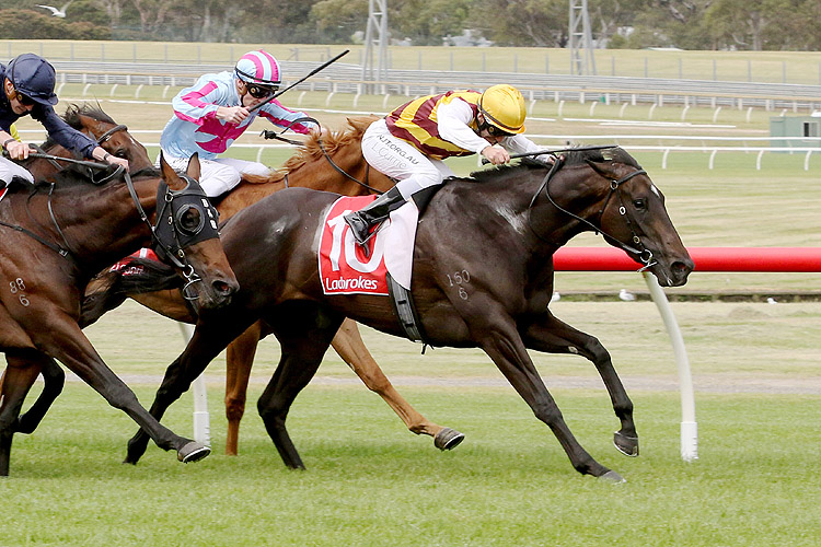 PRETTY BRAZEN winning the Sandown Guineas.