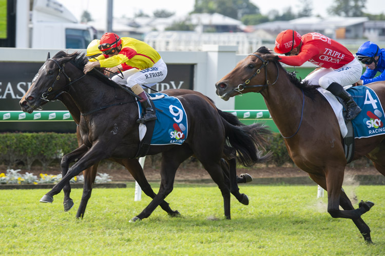 Pretty In Pink winning the Sky Racing Moreton Cup