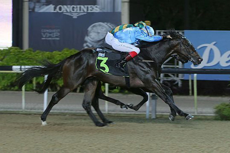 Prime Time winning the RESTRICTED MAIDEN
