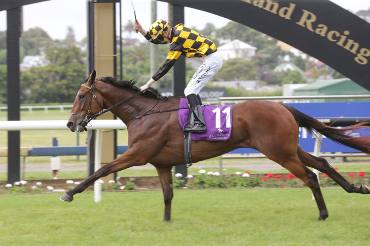 Prince Jabeel winning the Pencarrow City Of Auckland Cup