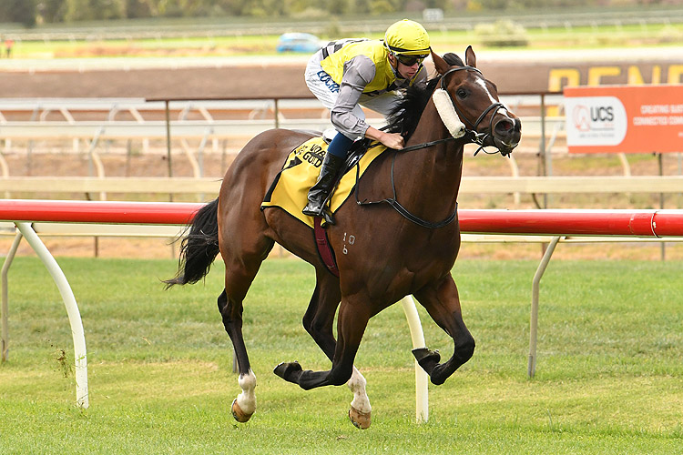 Prince Of Sussex winning the Avenue Press Gold Rush Prince Of Sussex winning the Avenue Press Gold Rush