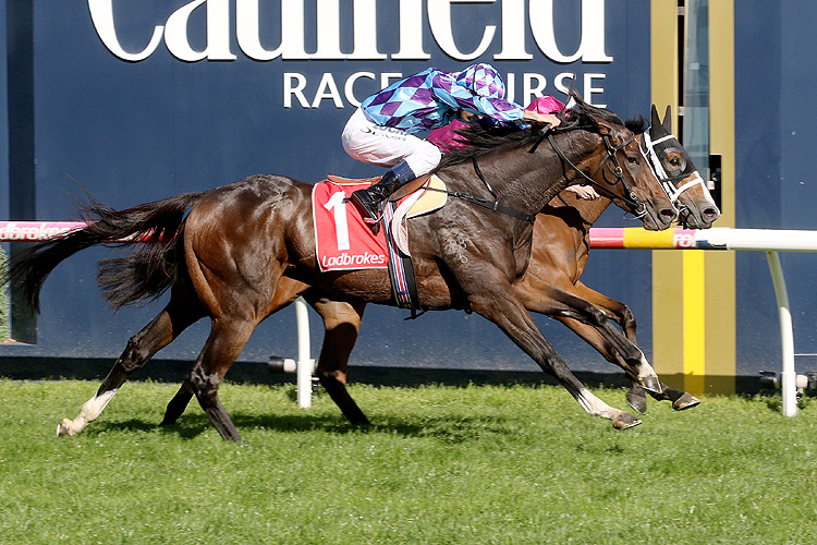 Princess Jenni winning the Jack Elliott Hcp Princess Jenni winning the Jack Elliott Hcp