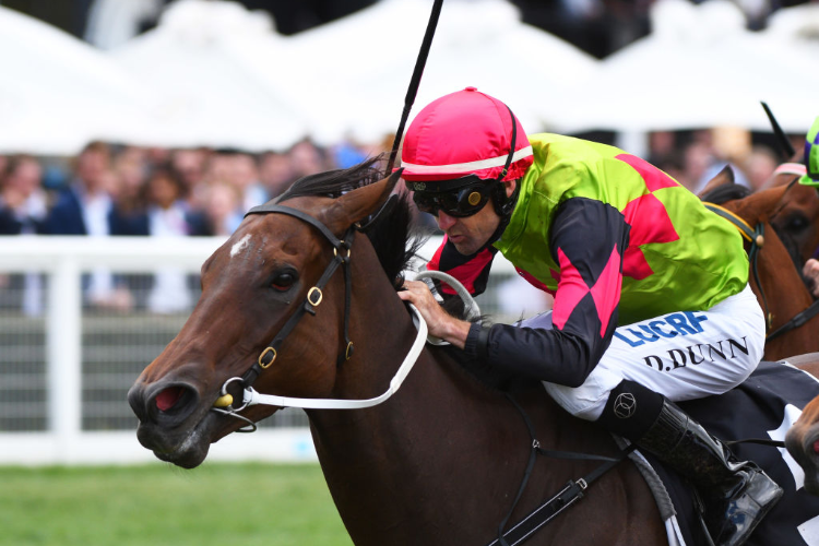 Princess Of Queens is a good price in Adelaide