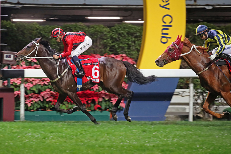 Private Secretary lays out his Derby credentials under Vincent Ho