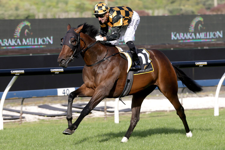 Probabeel winning the Karaka Million 2yo