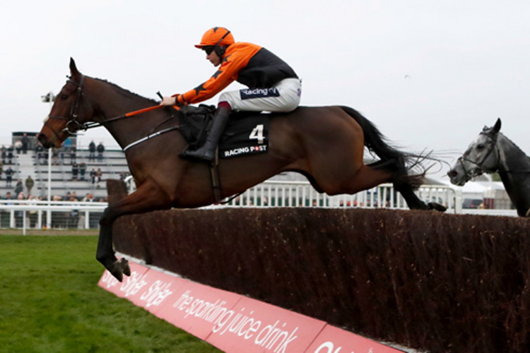 Put The Kettle On winning the Racing Post Responsiblegambling Arkle Trophy Trial Novices' Chase (Grade 2)