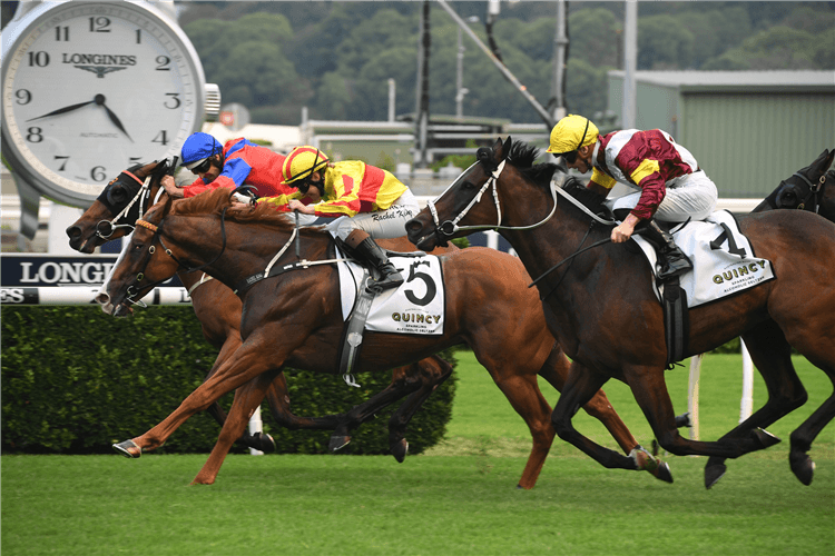 QUACKERJACK winning the Quincy Seltzer Villiers Stakes