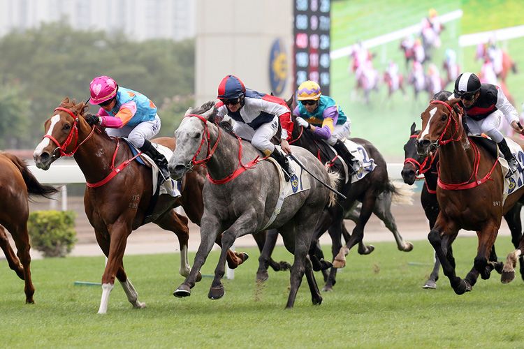 Racing Fighter was on the mark in December for Purton and Yip. Racing Fighter was on the mark in December for Purton and Yip.