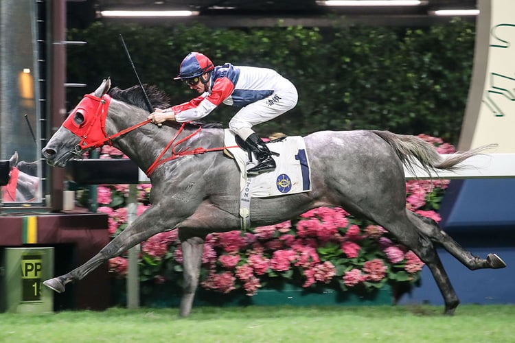 Racing Fighter is a top rater at Happy Valley.