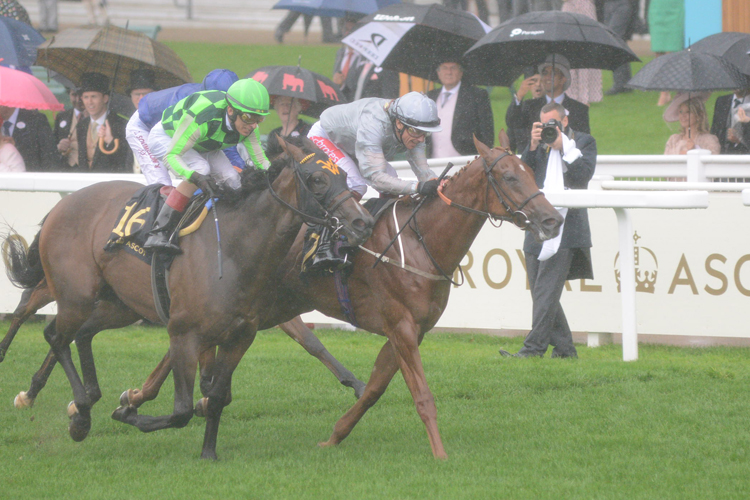 Raffle Prize winning the Queen Mary Stakes (Fillies' Group 2)