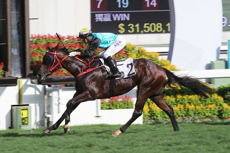 Joao Moreira has been in the plate for each of Raging Storm’s five wins.