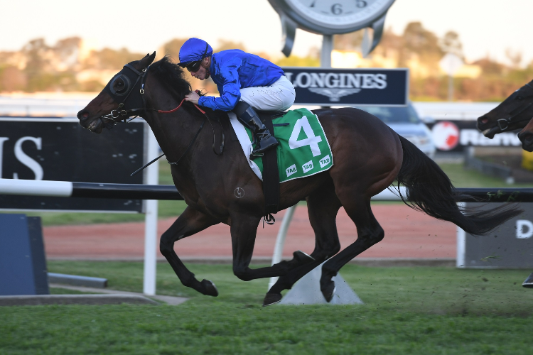 RANIER winning the Sydney's West Handicap.