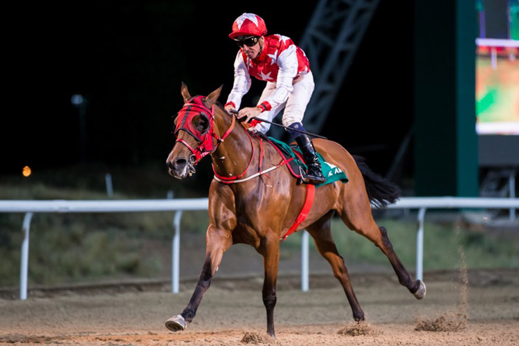 Rb Money To Burn winning the Al Ain Sprint Rb Money To Burn winning the Al Ain Sprint
