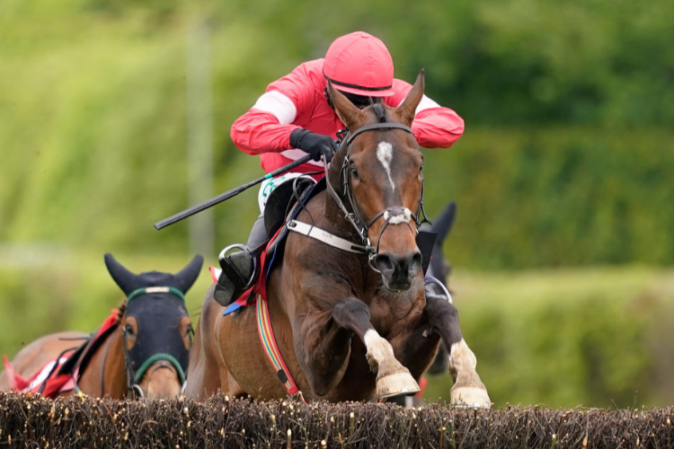 REAL STEEL winning the EMS Copiers Novice Handicap Chase at Punchestown in Naas, Ireland.